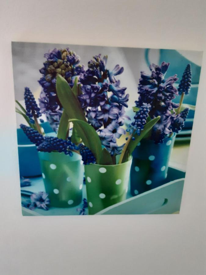 Appartamento (La parenthese) Hombourg Esterno foto